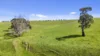 Allotment 702 Wattle Flat Road, Ashbourne, SA 5157-Image