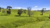 Allotment 702 Wattle Flat Road, Ashbourne, SA 5157-Image