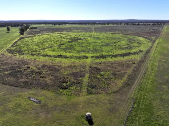 "Bimbimbie" Texas-Yelarbon Road, Texas, Qld 4385