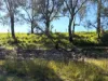 "Bimbimbie" Texas-Yelarbon Road, Texas, Qld 4385-Image