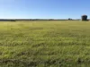 "Bimbimbie" Texas-Yelarbon Road, Texas, Qld 4385-Image