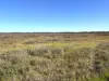 "Bimbimbie" Texas-Yelarbon Road, Texas, Qld 4385-Image