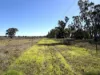 "Bimbimbie" Texas-Yelarbon Road, Texas, Qld 4385-Image