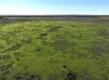"Bimbimbie" Texas-Yelarbon Road, Texas, Qld 4385-Image