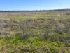 "Bimbimbie" Texas-Yelarbon Road, Texas, Qld 4385-Image