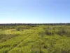 "Bimbimbie" Texas-Yelarbon Road, Texas, Qld 4385-Image