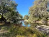 "Bimbimbie" Texas-Yelarbon Road, Texas, Qld 4385-Image