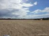 "Bloomvale", Bloomfields Road, Scotts Brook, WA 6244-Image