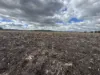 "Bokhara" 199 Bundella Road, Quirindi, NSW 2343-Image