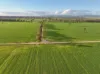 Bongoola Mary Gilmore Way, Bimbi, NSW 2810-Image