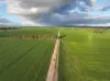 Bongoola Mary Gilmore Way, Bimbi, NSW 2810-Image