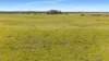 Boomaroo Park Road, Robe, SA 5276-Image