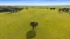 Boomaroo Park Road, Robe, SA 5276-Image