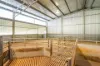 BOOROOL  Mossdale Road, Balldale, NSW 2646-Image