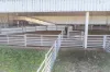BOOROOL  Mossdale Road, Balldale, NSW 2646-Image