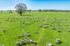 BOOROOL  Mossdale Road, Balldale, NSW 2646-Image