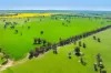 BOOROOL  Mossdale Road, Balldale, NSW 2646-Image