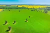 BOOROOL  Mossdale Road, Balldale, NSW 2646-Image