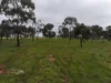 C/A 85B Morses Road, Derby, Vic 3516-Image