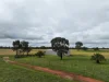 C/A 85B Morses Road, Derby, Vic 3516-Image