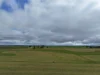 C/A 85B Morses Road, Derby, Vic 3516-Image