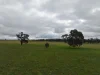 C/A 85B Morses Road, Derby, Vic 3516-Image