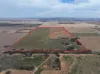 CA, 157 Borung Hurstwood Road, Borung, Vic 3518