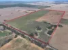 CA, 157 Borung Hurstwood Road, Borung, Vic 3518-Image