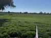 CA 1B/16 Simpson Lane, Docker, Vic 3678-Image