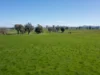 CA 1B/16 Simpson Lane, Docker, Vic 3678-Image