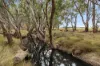 CA 57B Elmore-Minto Road, Elmore, Vic 3558-Image