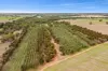 CA 57B Elmore-Minto Road, Elmore, Vic 3558-Image