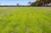 CA 57B Elmore-Minto Road, Elmore, Vic 3558-Image