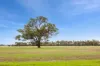 CA 57B Elmore-Minto Road, Elmore, Vic 3558-Image