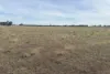 CA, 6 Larsans Road, Drummartin, Vic 3570-Image