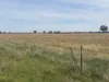 CA, 6 Larsans Road, Drummartin, Vic 3570-Image