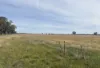 CA, 6 Larsans Road, Drummartin, Vic 3570-Image