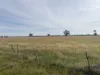 CA, 6 Larsans Road, Drummartin, Vic 3570-Image
