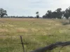 CA, 6 Larsans Road, Drummartin, Vic 3570-Image