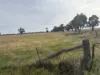 CA, 6 Larsans Road, Drummartin, Vic 3570-Image