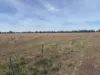 CA, 6 Larsans Road, Drummartin, Vic 3570-Image