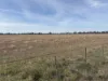 CA, 6 Larsans Road, Drummartin, Vic 3570-Image