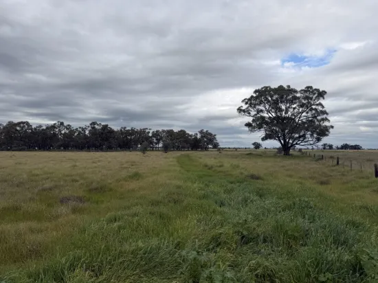 CA 8 Murray Valley Highway, Torrumbarry, Vic 3562
