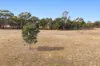 CA 90B Mickeys Lane, Llanelly, Vic 3551-Image