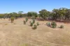 CA 90B Mickeys Lane, Llanelly, Vic 3551-Image