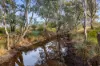 CA 90B Mickeys Lane, Llanelly, Vic 3551-Image