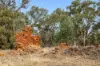 CA 90B Mickeys Lane, Llanelly, Vic 3551-Image