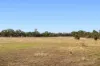 CA 90B Mickeys Lane, Llanelly, Vic 3551-Image