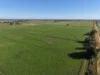'Cleveland' 163 Holzigals Road, Finley, NSW 2713-Image