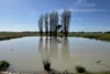 'Cleveland' 163 Holzigals Road, Finley, NSW 2713-Image
